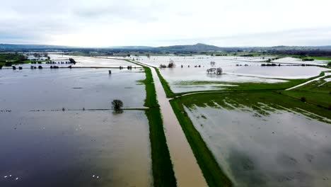 Flooded-fields-through-Somerset-Levels,-england