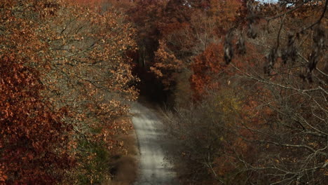 Camino-Rural-Entre-Frondosos-Bosques-Durante-El-Otoño-En-Arkansas,-EE.UU.---Disparo-De-Drones