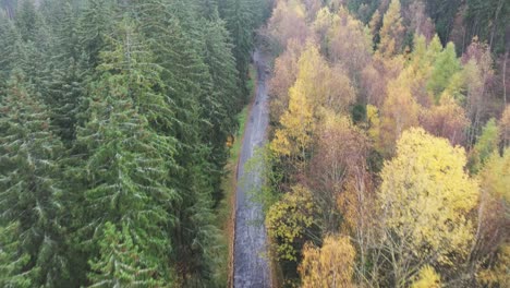 Luftaufnahmen-über-Immergrünen-Und-Herbstlichen-Baumwipfeln-Mit-Buntem-Laub