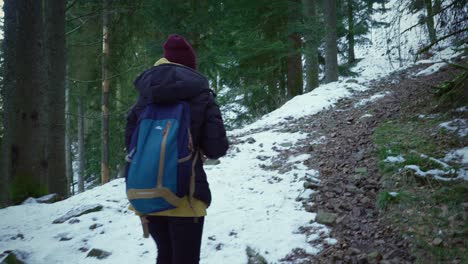 Female-hiker,-hiking-up-snowy-pine-forest-mountain-with-backpack