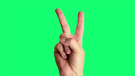 Close-up-shot-of-a-male-hand-throwing-a-classic-peace-sign,-against-a-greenscreen-background-ideal-for-chroma-keying