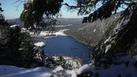 Wide-shot-through-snowy-alpine-forest-trees-with-view-on-the-Longemer-lake-in-Vosges,-France