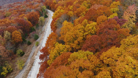 Autumn-Forest-And-Mountain-Road-In-Devil's-Den-State-Park,-Arkansas,-USA---Aerial-Shot