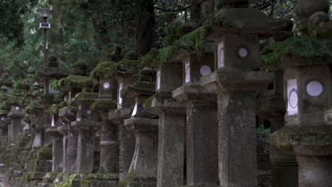 Fila-De-Faroles-De-Piedra-Cubiertos-De-Musgo-Del-Santuario-Kasugataisha-En-El-Parque-Público-De-Nara
