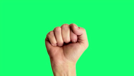 Close-up-shot-of-a-male-hand-holding-up-a-classic-power-or-fist-sign,-against-a-greenscreen-background-ideal-for-chroma-keying