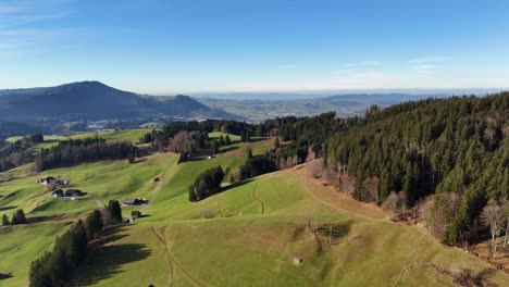 Luftaufnahme-Einer-Grünen-Hügeligen-Wiese-In-Der-Nähe-Von-Immergrünem-Wald,-Blauer-Himmel
