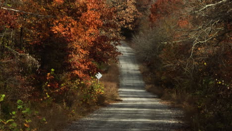 Camino-Rural-Entre-Un-Exuberante-Bosque-Otoñal-En-Arkansas,-EE.UU.---Disparo-De-Drones
