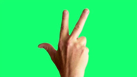 Close-up-shot-of-a-male-hand-throwing-a-classic-gang-sign,-against-a-greenscreen-background-ideal-for-chroma-keying