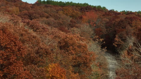 Road-Between-Beautiful-Colorful-Autumn-Forest-In-AR,-USA---Aerial-Shot