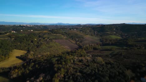 Drone-flies-quickly-above-rolling-hill-slope-landscape-of-olive-trees-in-Tuscany-Italy