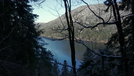 Static-shot-of-Longemer-lake-behind-pine-tree-forest,-mountains,-in-Vosges,-France