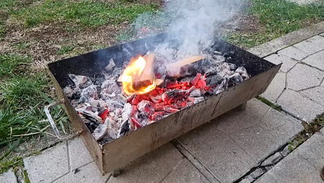 Kindling-wood-starts-to-burn-with-flame-in-a-barbecue-fire
