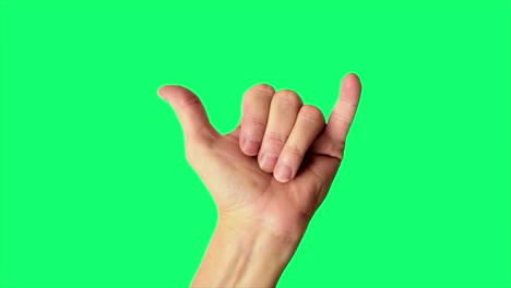 Close-up-shot-of-a-male-hand-throwing-a-classic-hang-loose-sign,-against-a-greenscreen-background-ideal-for-chroma-keying