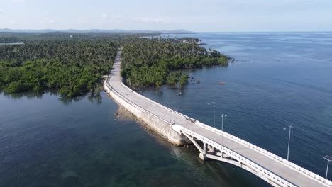 Catangnan-Bridge-and-coastal-road-through-Mangroves-and-Palm-forest,-Siargao