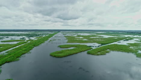 Beautiful-green-meadows-surrounded-by-wetlands,-aerial-drone-view