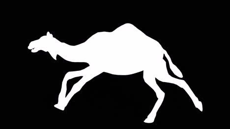 A-camel-running-on-black-background-with-alpha-channel-included-at-the-end-of-the-video,-3D-animation,-side-view,-animated-animals,-seamless-loop-animation