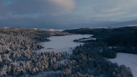 Pinos-Nevados-En-El-Bosque-Durante-El-Invierno-En-Noruega