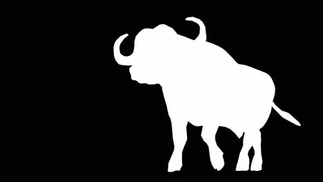A-buffalo-walking-on-black-background-with-alpha-channel-included-at-the-end-of-the-video,-3D-animation,-perspective-view,-animated-animals,-seamless-loop-animation