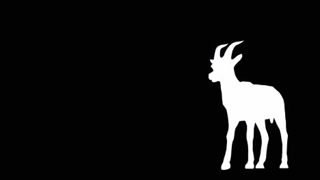 A-gazelle-walking-on-black-background-with-alpha-channel-included-at-the-end-of-the-video,-3D-animation,-perspective-view,-animated-animals,-seamless-loop-animation