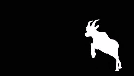 A-gazelle-running-jumping-on-black-background-with-alpha-channel-included-at-the-end-of-the-video,-3D-animation,-perspective-view,-animated-animals,-seamless-loop-animation