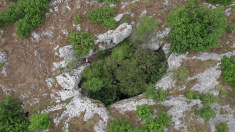 Exploradores-Entrando-En-Una-Cueva-Con-árboles-Que-Crecen-Desde-La-Abertura.
