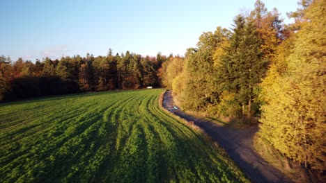 Biker-On-Muddy-Dirt-Road-Lined-With-Autumn-Trees-Along-Green-Field-In-Bohucovice,-Czech-Republic