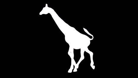 Eine-Giraffe-Läuft-Auf-Schwarzem-Hintergrund-Mit-Alphakanal-Am-Ende-Des-Videos,-3D-Animation,-Seitenansicht,-Animierte-Tiere,-Nahtlose-Schleifenanimation