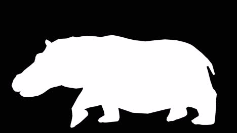 Un-Hipopótamo-Caminando-Sobre-Fondo-Negro-Con-Canal-Alfa-Incluido-Al-Final-Del-Vídeo,-Animación-3d,-Vista-Lateral,-Animales-Animados,-Animación-En-Bucle-Sin-Interrupciones