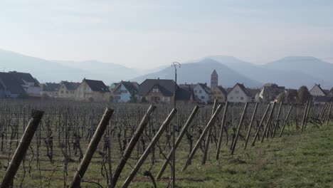 Vineyard-outside-french-village,-Kaysersberg.-mountainscape-background