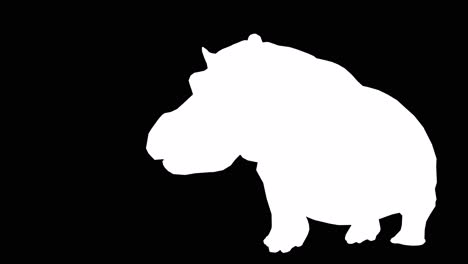 A-hippopotamus-walking-on-black-background-with-alpha-channel-included-at-the-end-of-the-video,-3D-animation,-perspective-view,-animated-animals,-seamless-loop-animation