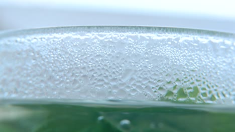 A-macro-shot-of-an-organic-fresh-green-Mint-leaf-filled-with-hot-water-to-a-glass,-steam-and-bubbles,-healthy-fresh-detox-tea,-blurry-depth-of-field,-smooth-cinematic-4K-video,-tilt-down