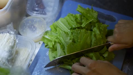 Green-leaf-vegetables-being-chopped-into-large-pieces-on-blue-chopping-board,-filmed-as-close-up-slow-motion-shot