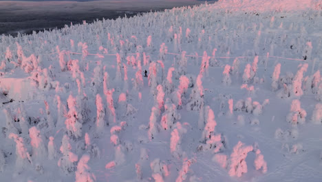 Drone-shot-circling-a-cross-country-skier-on-top-of-a-fell,-sunrise-in-Lapland