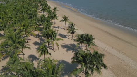 Ha-Long-Bay-Drone-Palm-Beach-Malerische-Aussicht-Auf-Wellen-In-Vietnam---Luftdrohne