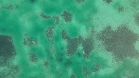Drone-view-in-Belize-flying-over-caribbean-dark-and-light-blue-sea-top-view-shallow-water-coral-reef