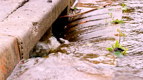 Rainwater-after-downpour-runs-down-concrete-gutter-into-street-drain,-hydrology