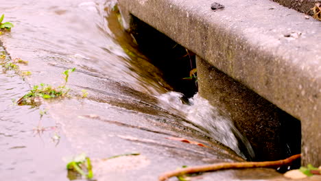 Rainwater-runs-down-concrete-gutter-into-road-drain,-global-warming-concept