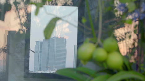 In-the-mirror's-reflection,-tall-glass-skyscrapers-stand-prominently,-with-a-lemon-tree-in-the-foreground