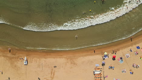 Drone-top-down-shot-capturing-a-bustling-beach-filled-with-enthusiastic-swimmers-and-sunbathing-families,-creating-unforgettable-memories-during-the-summer-holidays