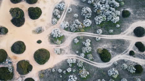 Aerial-top-down-of-muddy-landscape-with-path-in-Portugal---landing-shot