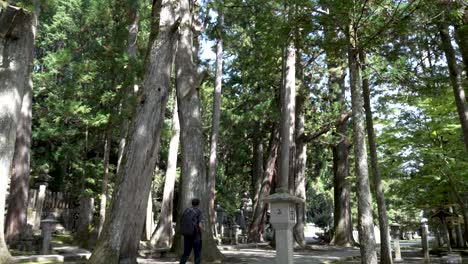 Daytime-video-footage-captures-individuals-leisurely-walking-through-a-forest-in-Koyasan,-Wakayama,-Japan