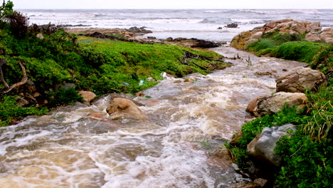 Fresh-rainwater-surface-runoff-from-storm-drain-flowing-into-ocean