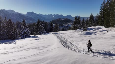 Aerial-tracking-shot-of-person-with-ski-poles-hiking-on-snowy-mountain-during-sunny-day-in-Swiss-alps---beautiful-landscape-in-winter