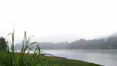 Beautiful-shot-of-the-landscape-of-the-Cachamuiña-reservoir-on-a-cloudy-and-cold-day,-with-fog-and-the-grass-full-of-dew