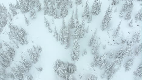 Cinematic-aerial-Colorado-Deep-powder-snowing-Loveland-Ski-Resort-Eisenhower-Tunnel-Coon-Hill-backcountry-i70-heavy-winter-spring-snow-Continential-Divide-Rocky-Mountains-covered-trees-slow-pan-down