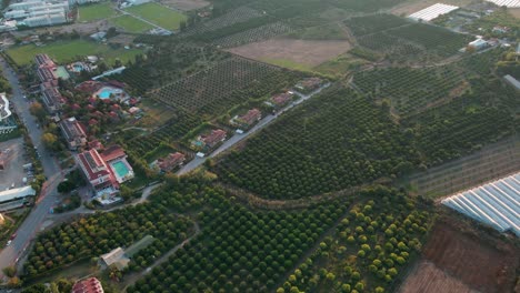 Aerial-4K-drone-footage-of-a-plantage-and-sunset-over-mountains-near-the-city-of
Kemer