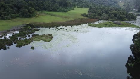Kookal-See-Und-Tropisches-Waldtal,-Kodaikanal,-Tamil-Nadu,-Indien
