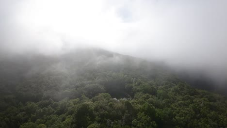 Sonnenlicht-Durchdringender-Nebel-über-Einem-Versteckten-Teich,-Umgeben-Von-Madeiras-Tiefen-Wäldern