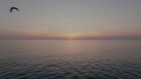 Möwe-Fliegt-über-Ein-Ruhiges-Meer-Bei-Sonnenuntergang-In-Portugal