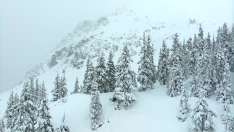Deep-powder-trees-snowing-cinematic-aerial-Colorado-Loveland-Ski-Resort-Eisenhower-Tunnel-Coon-Hill-backcountry-i70-heavy-winter-spring-snow-Continential-Divide-Rocky-Mountains-covered-pine-circling